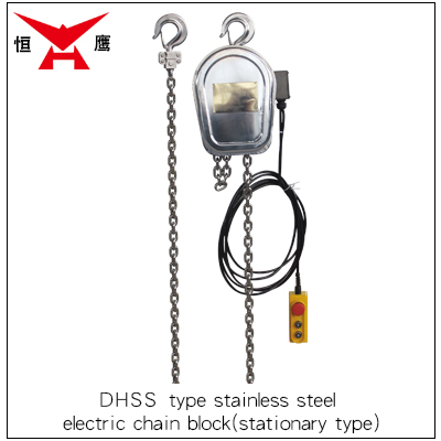 DHSS Stationary Type Stainless Steel Electric Chain Hoist(图1)