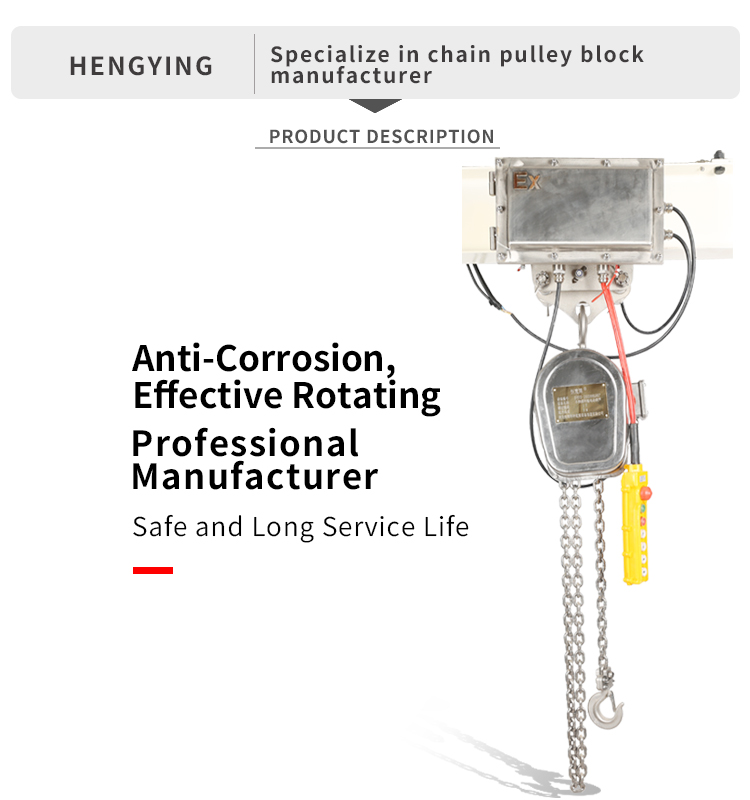 DHSS Running Type Stainless Steel Electric Chain Hoist(图2)