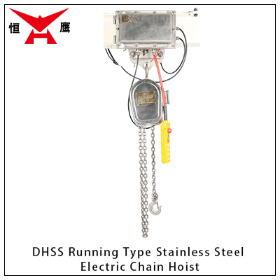 DHSS Running Type Stainless Steel Electric Chain Hoist(图1)