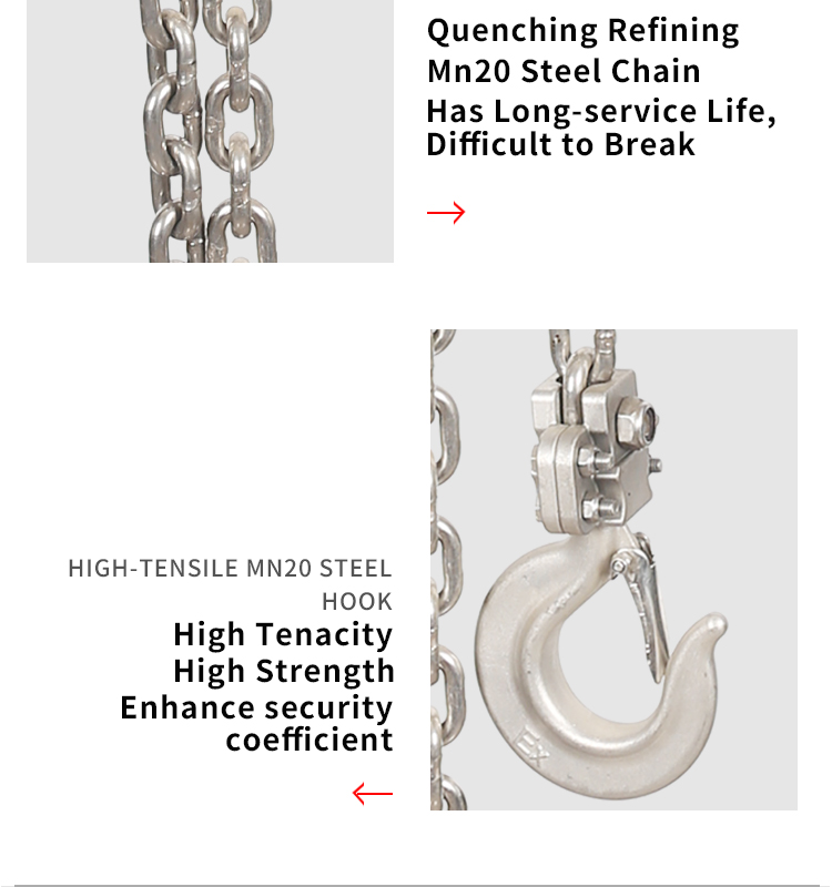 DHSS Running Type Stainless Steel Electric Chain Hoist(图5)