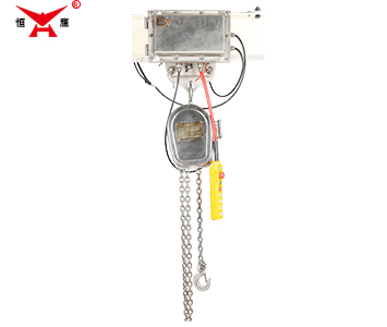 Stainless steel electric chain hoist