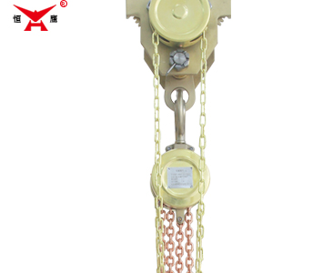 DHBS-ZH type explosion-proof electric chain hoist 