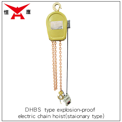 DHBS Stationary Type Explosion-Proof Electric Chain Hoist