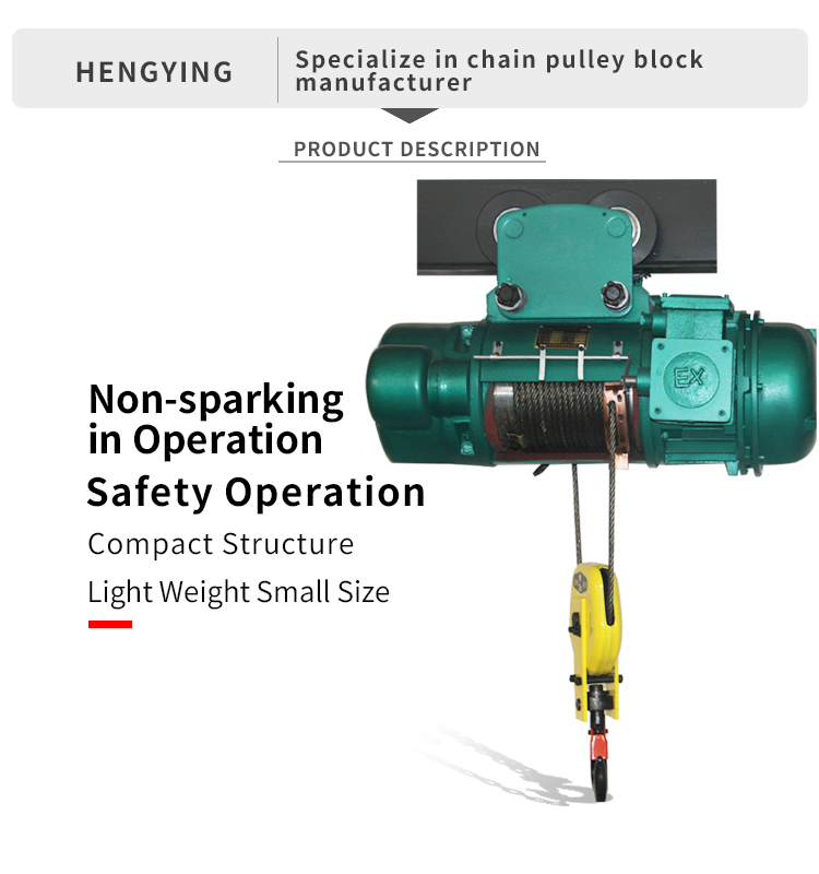 BCD Explosion Proof Wire Rope Electric Hoist(图2)