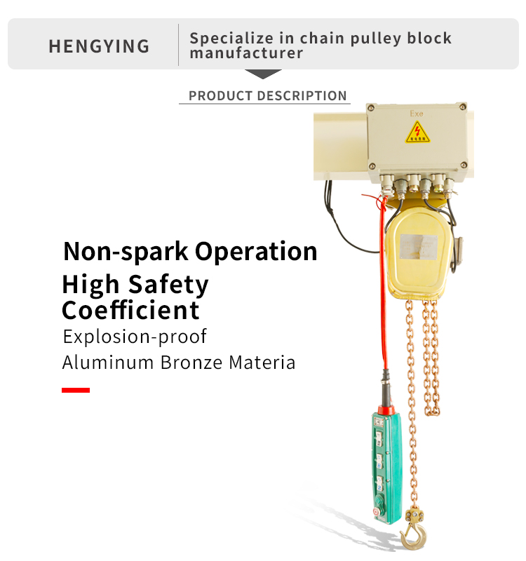 DHBS Runing Type Explosion-Proof Electric Chain Hoist(图2)