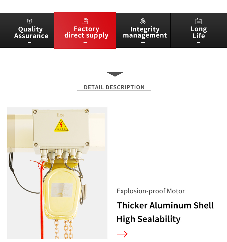 DHBS Runing Type Explosion-Proof Electric Chain Hoist(图3)